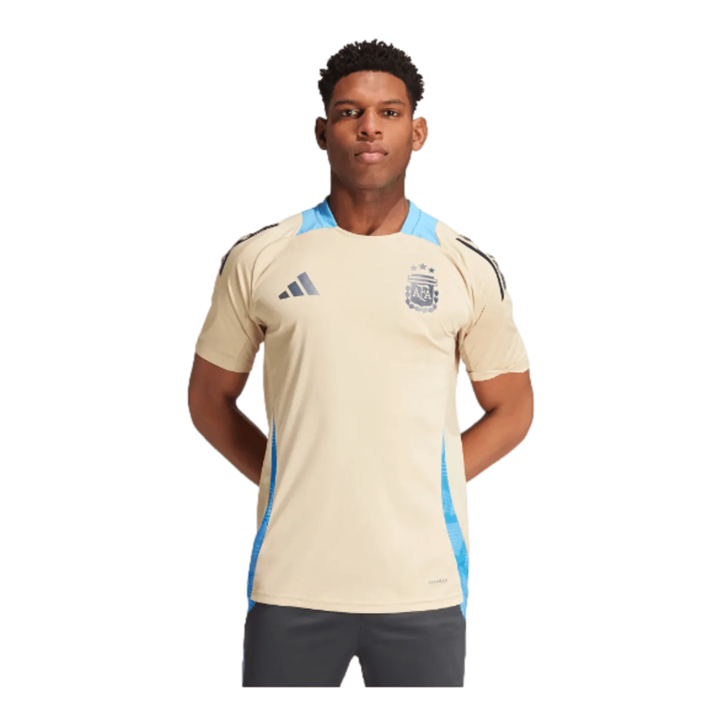 Adidas Argentina Training Jersey