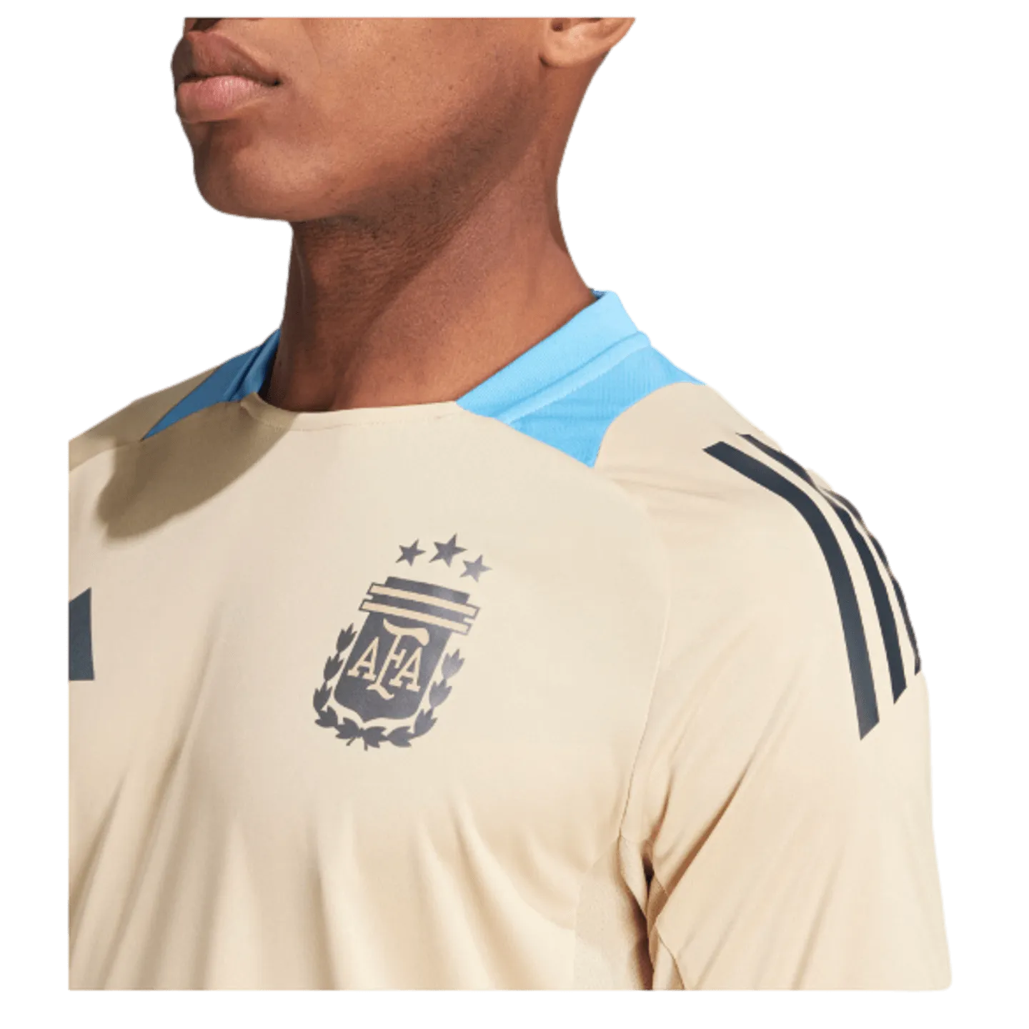 Adidas Argentina Training Jersey