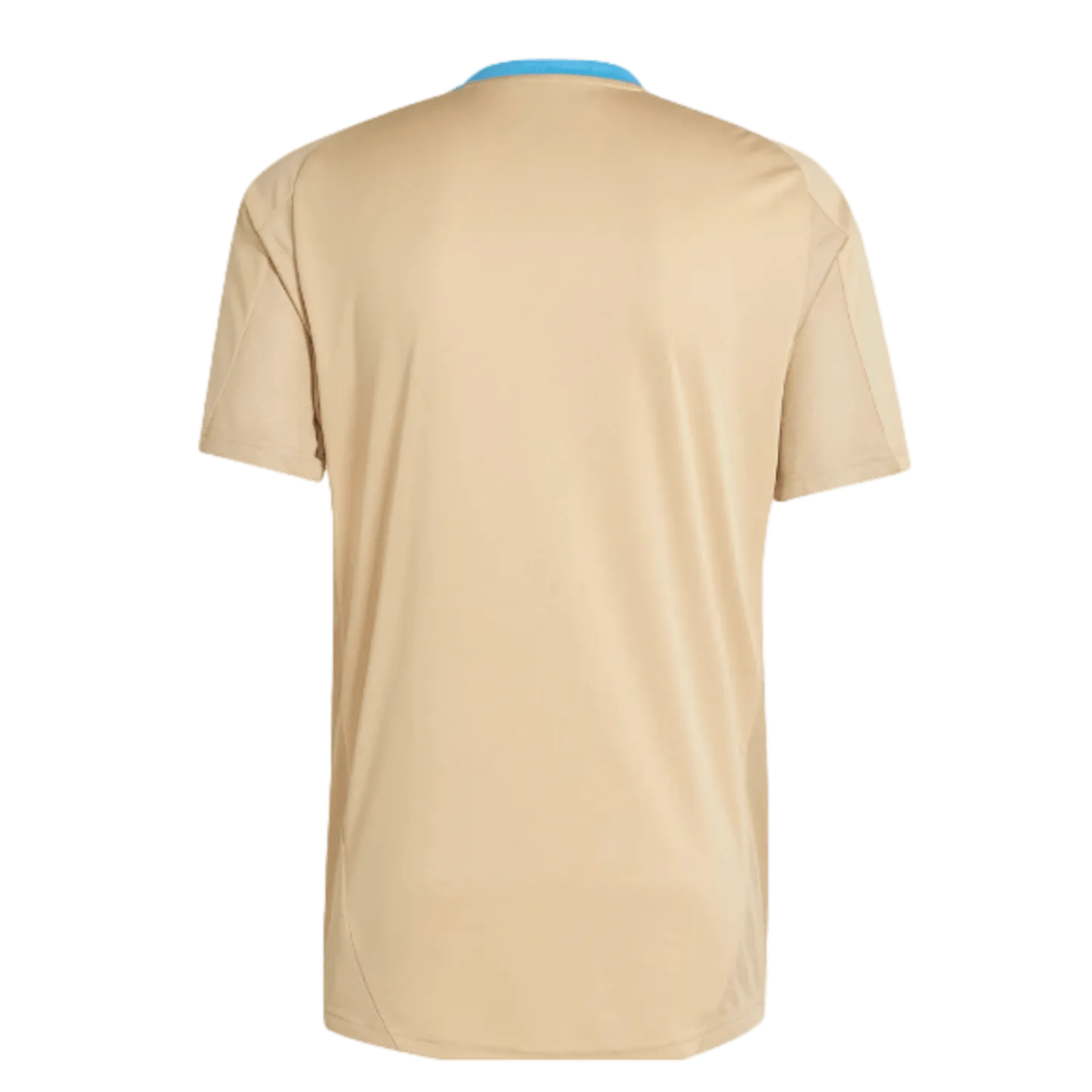 Adidas Argentina Training Jersey