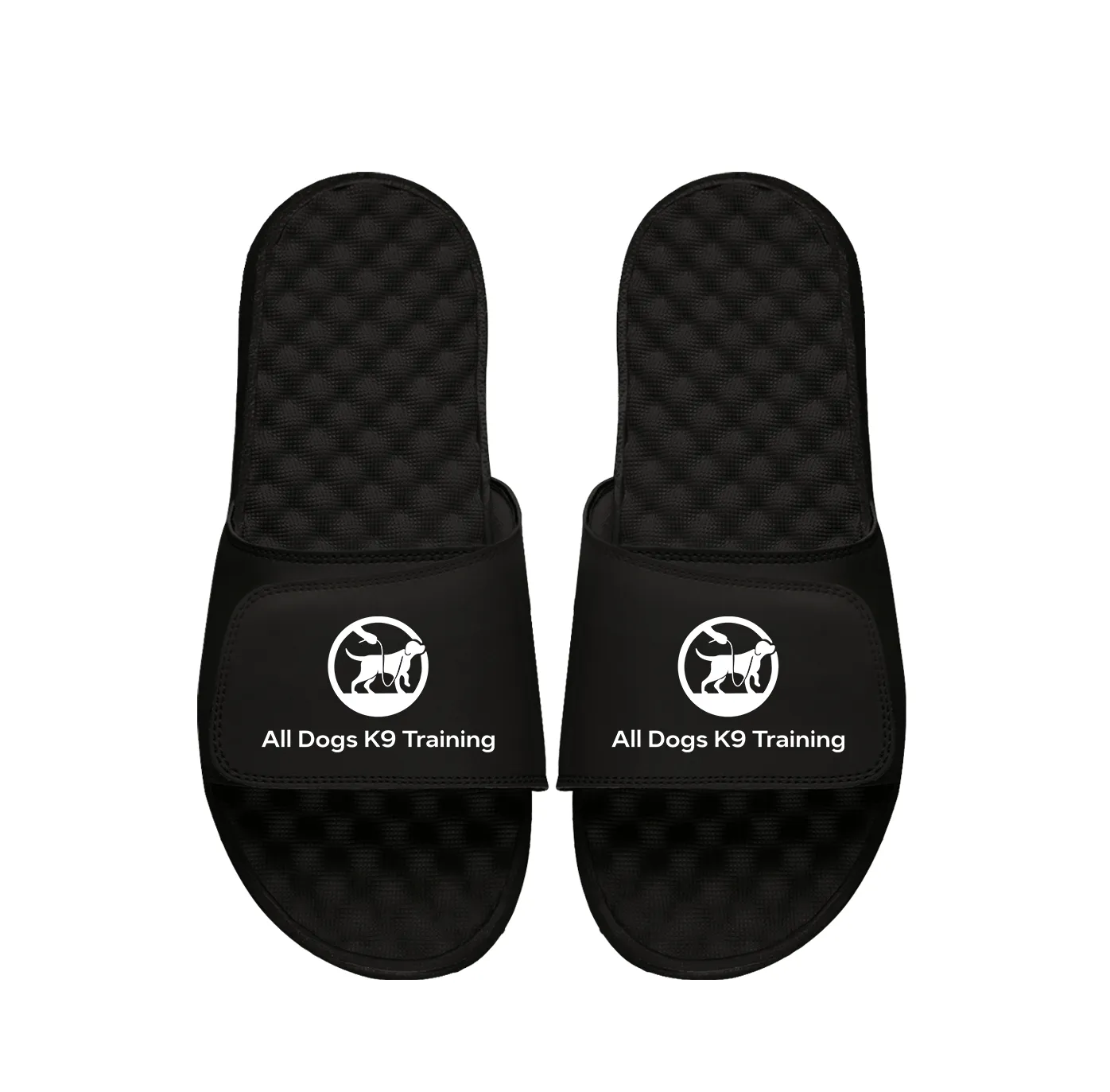 All Dogs K9 Training Primary PERSONALIZE Slides