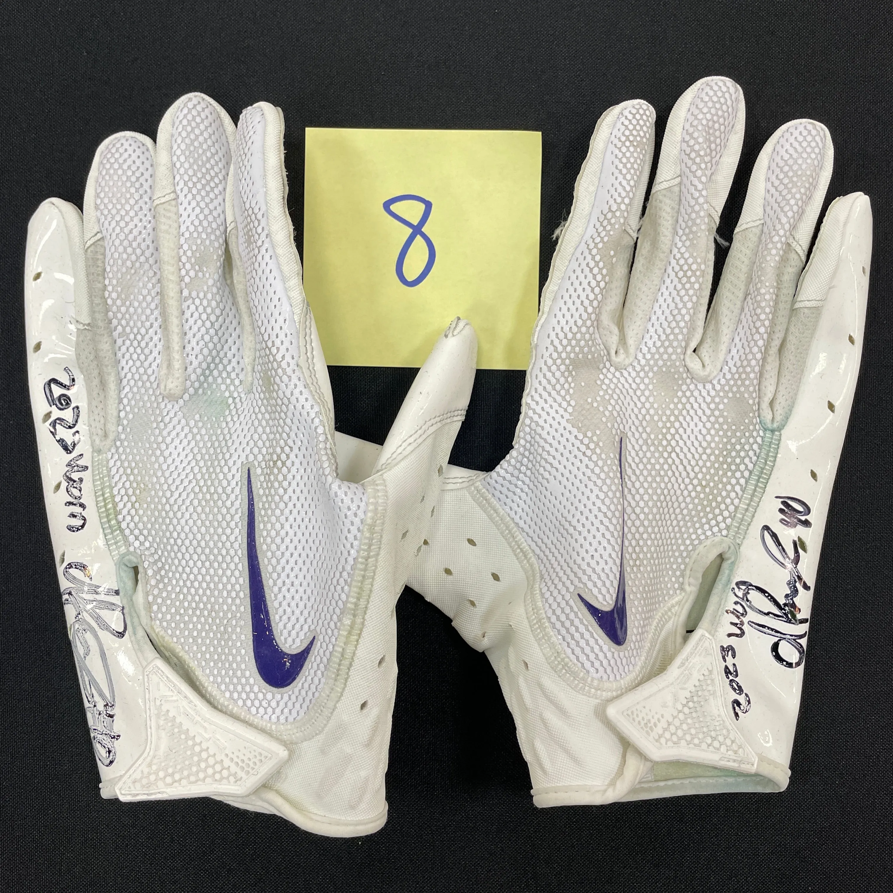 Ivan Pace Jr. Autographed Game Used Gloves and Spikes