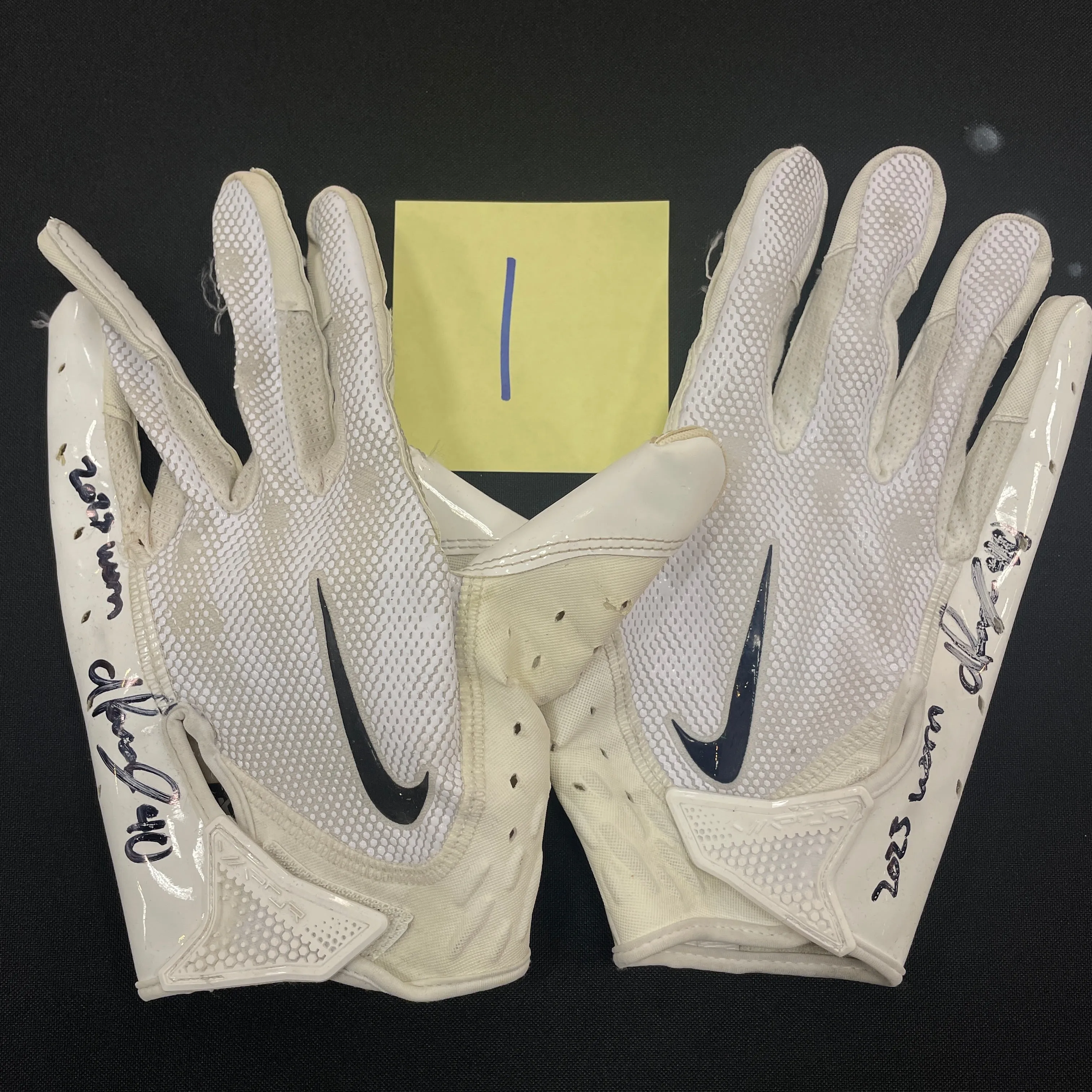 Ivan Pace Jr. Autographed Game Used Gloves and Spikes