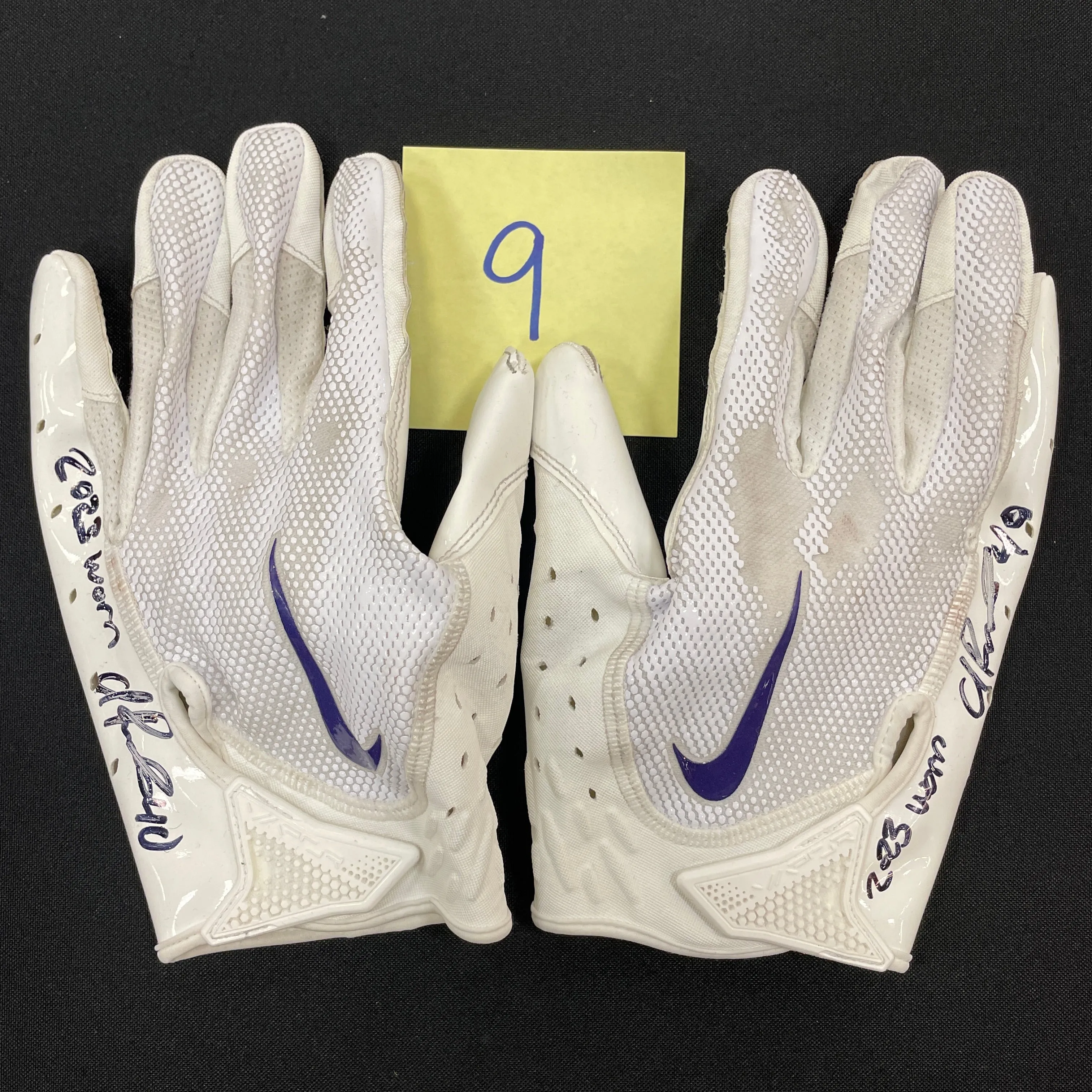 Ivan Pace Jr. Autographed Game Used Gloves and Spikes