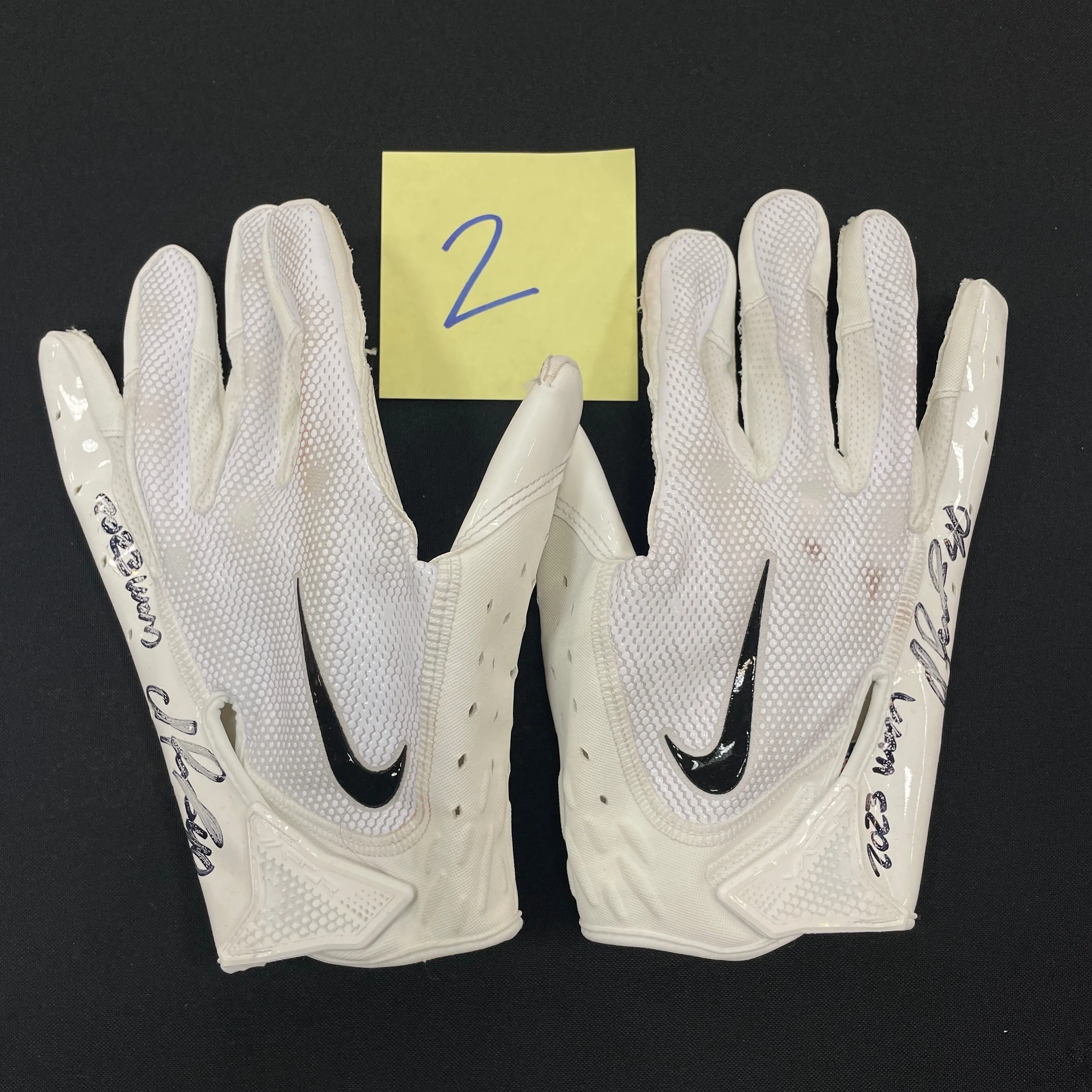 Ivan Pace Jr. Autographed Game Used Gloves and Spikes