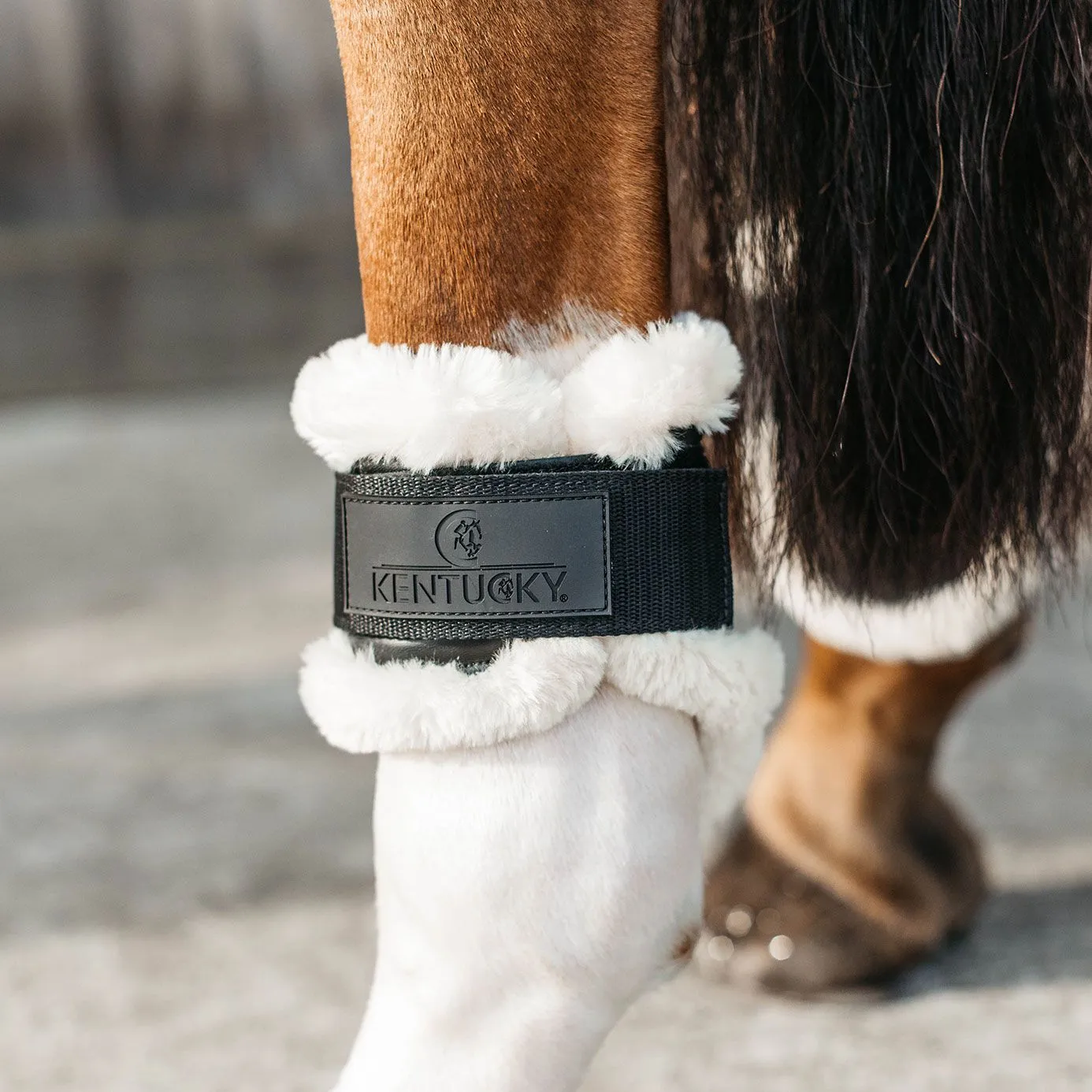 Kentucky Horsewear Sheepskin Young Horse Fetlock Boots Air - Black