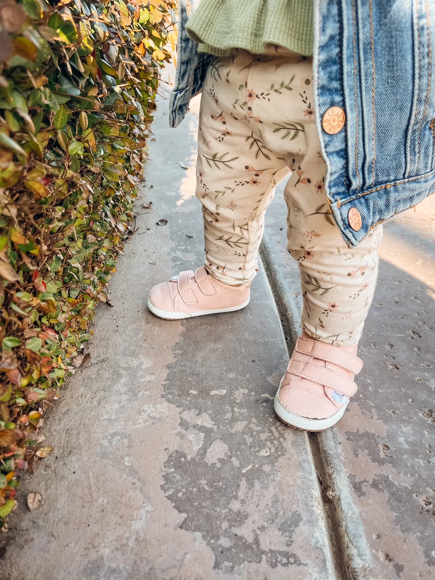 Little Love Bug Casual Pink Low Top