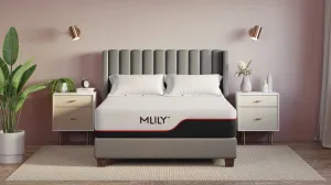 MLILY Dream