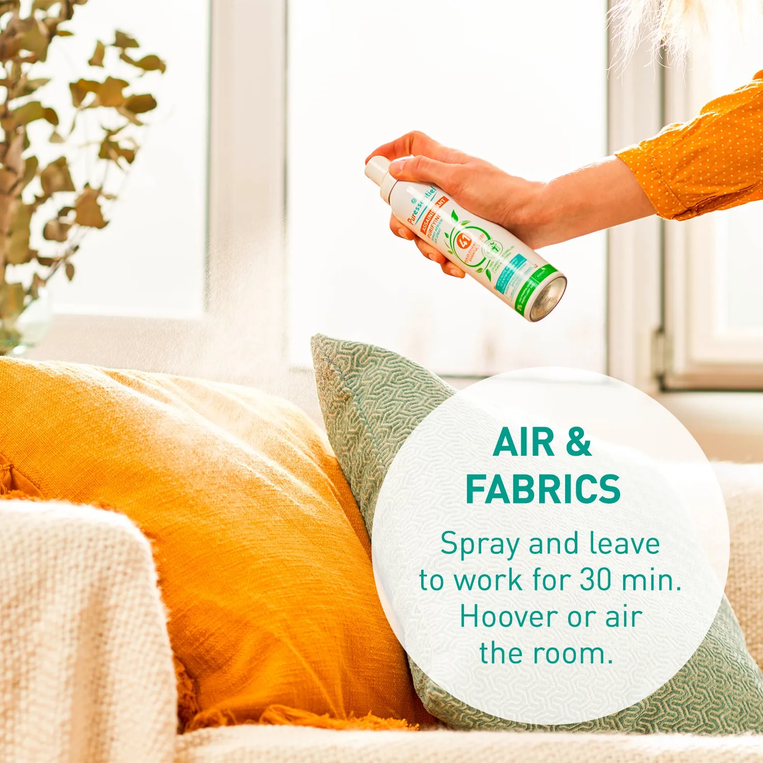 Purifying Air Spray