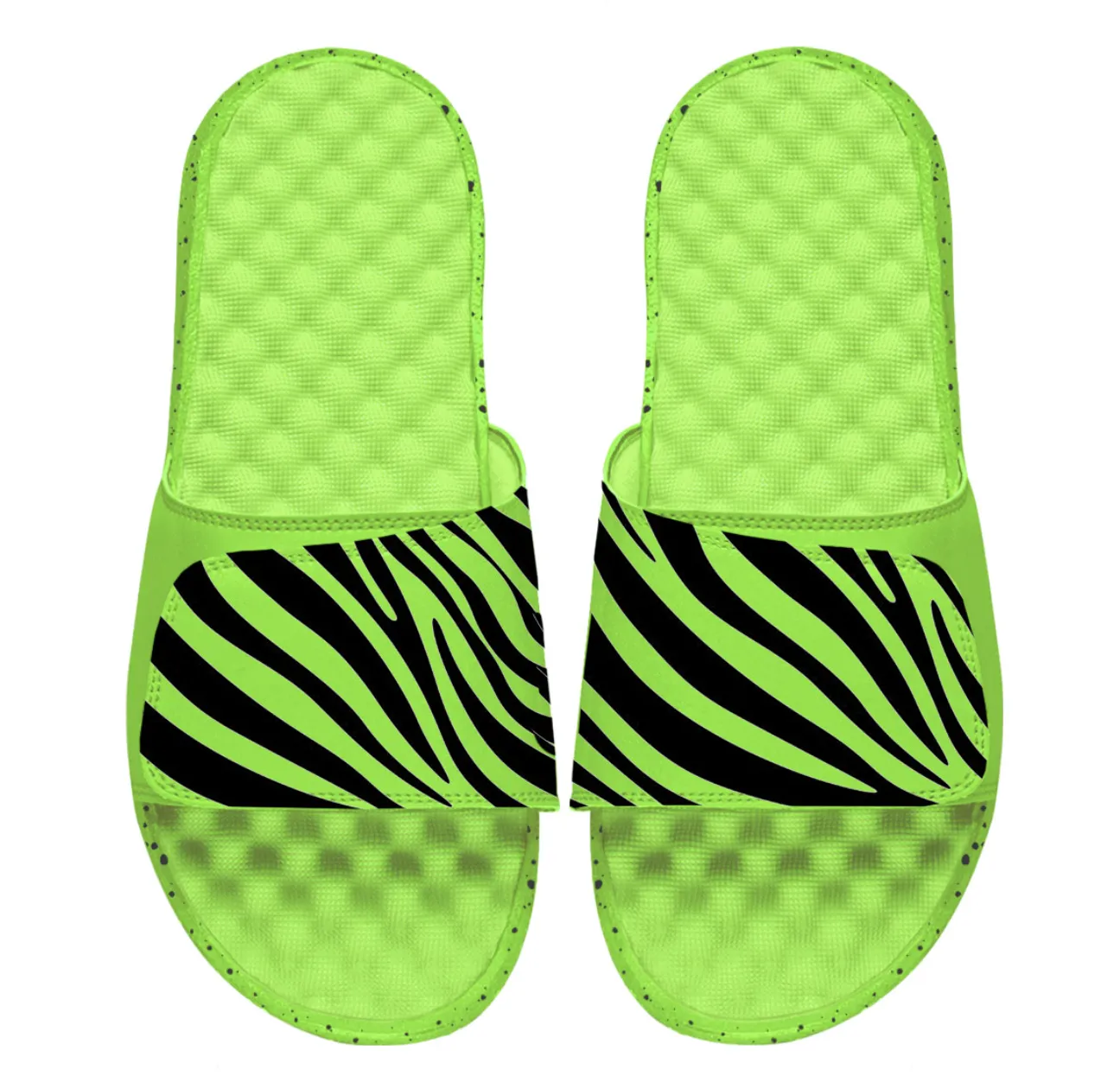 Zebra Slides